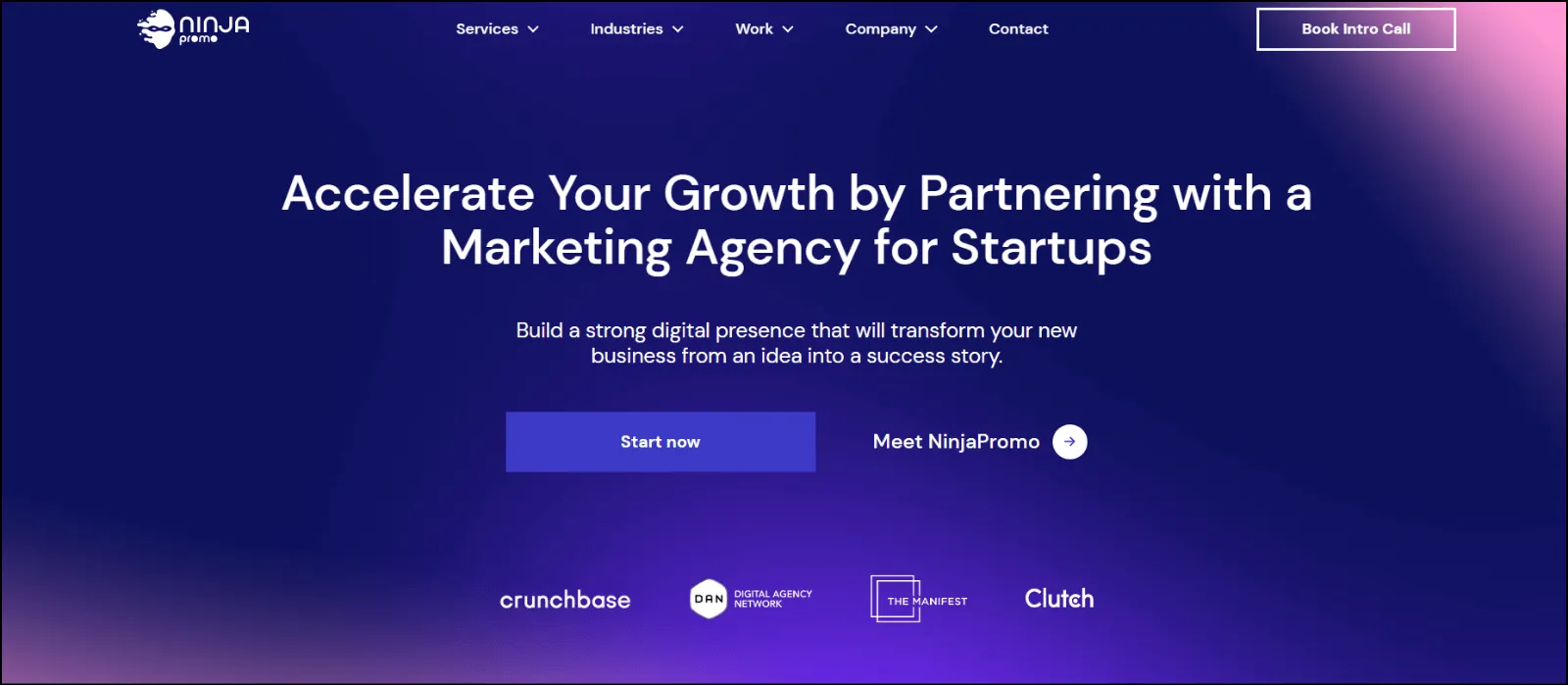 Ninjapromo SEO agency