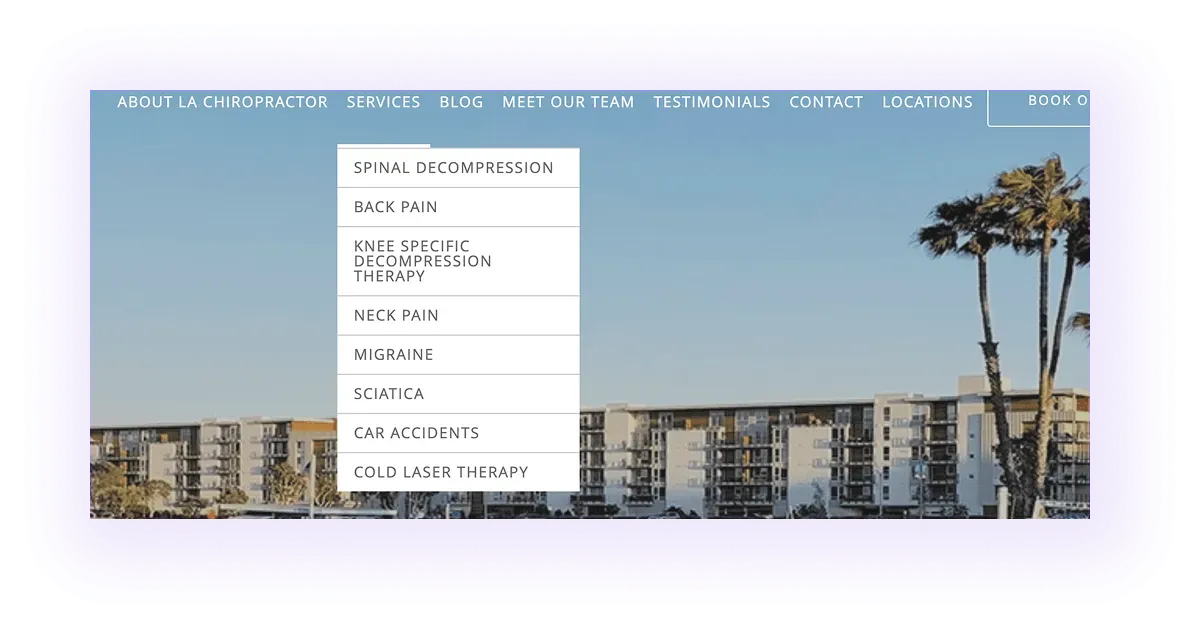 chiropractor website navigation bar with chiropractic services drop-down menu