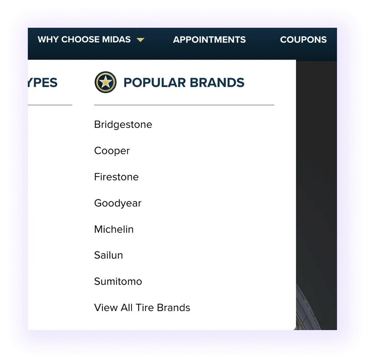 automotive service website navigation bar with popular brands drop-down menu