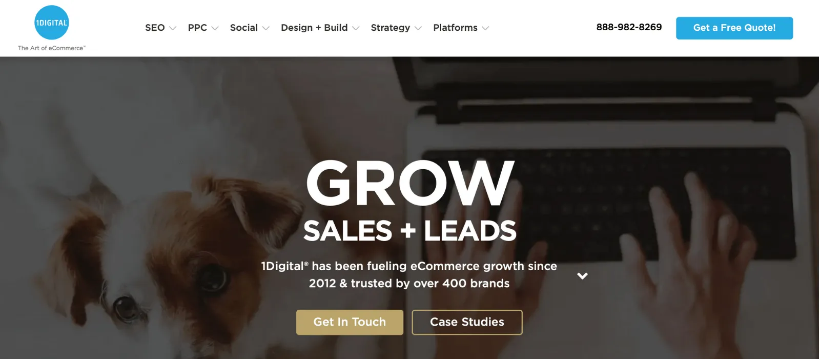1Digital Agency the Best Fashion SEO Companies 