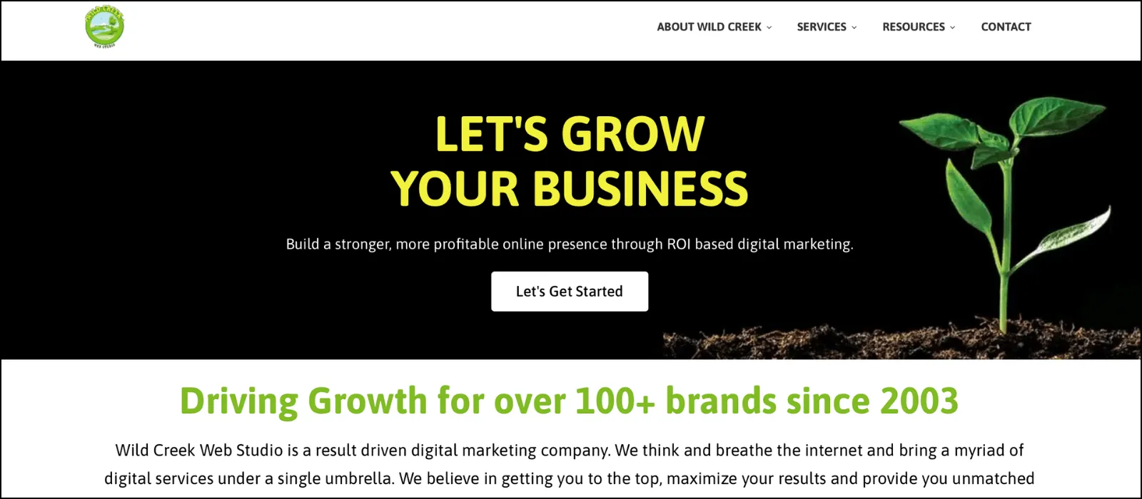 Wild Creek Web Studio bank seo services