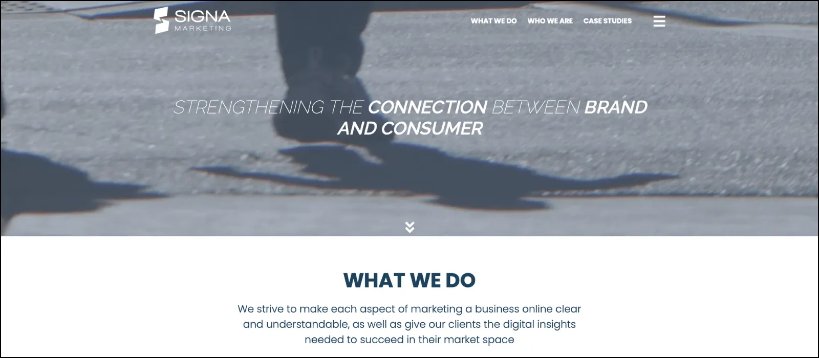 signa marketing seo companies in scottsdale