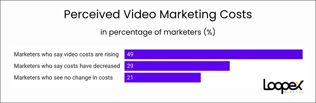 Perceived Video Marketing Costs