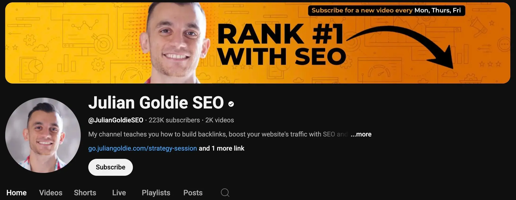 julian goldie seo best seo books