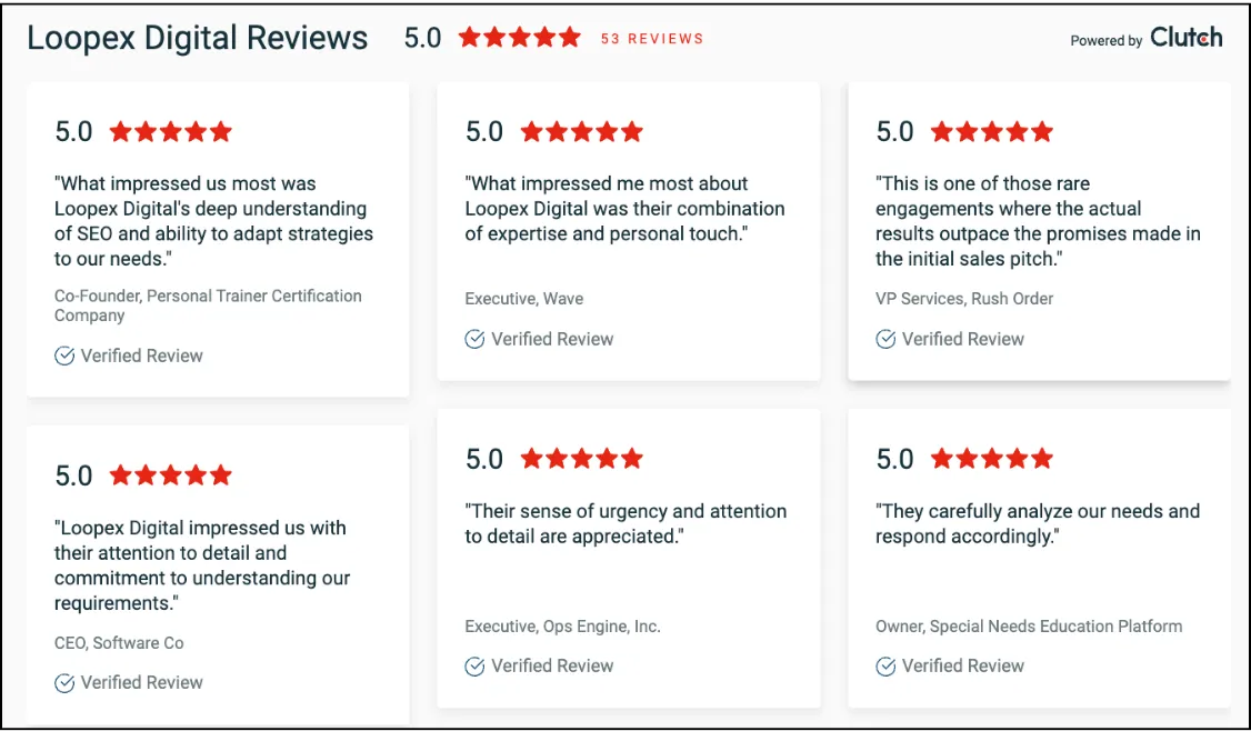 Loopex Digital client review