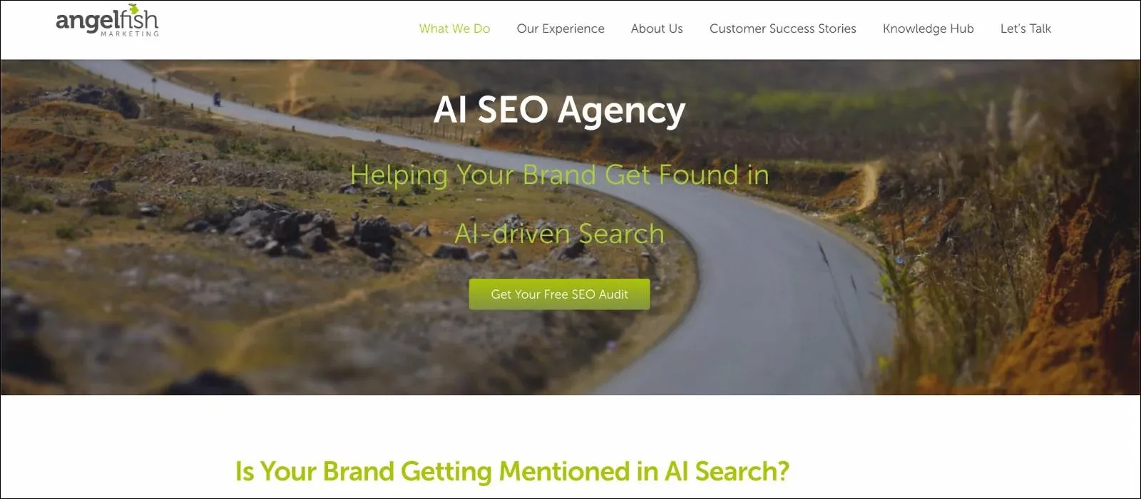 Angelfish Marketing homepage