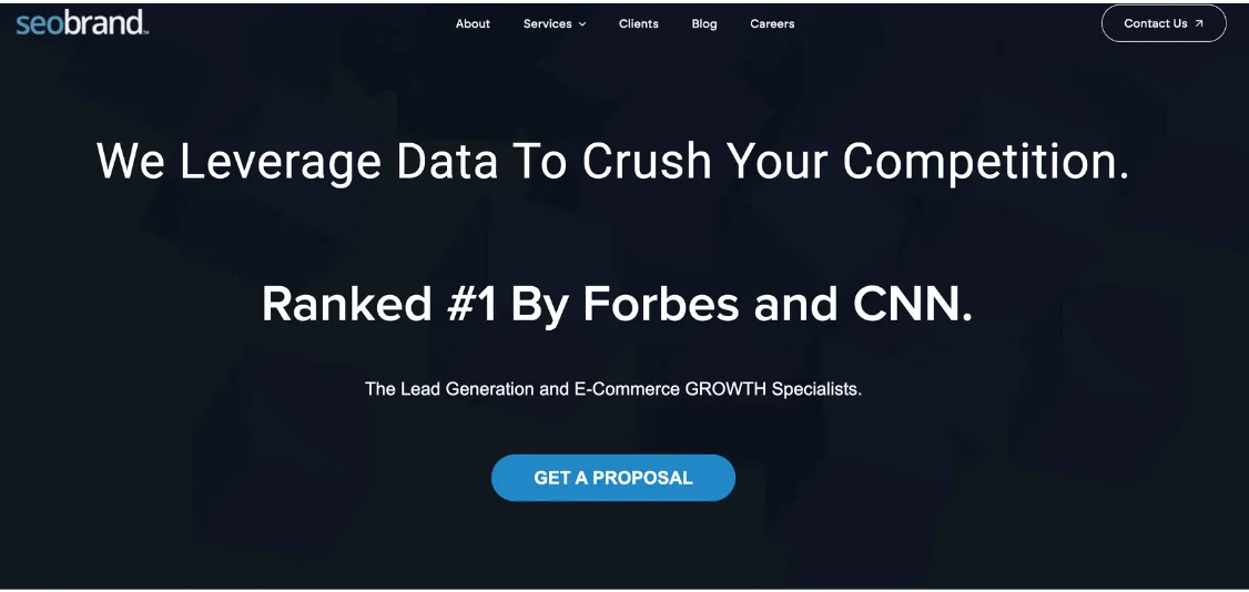 best seo companies for the usa market - seo brand