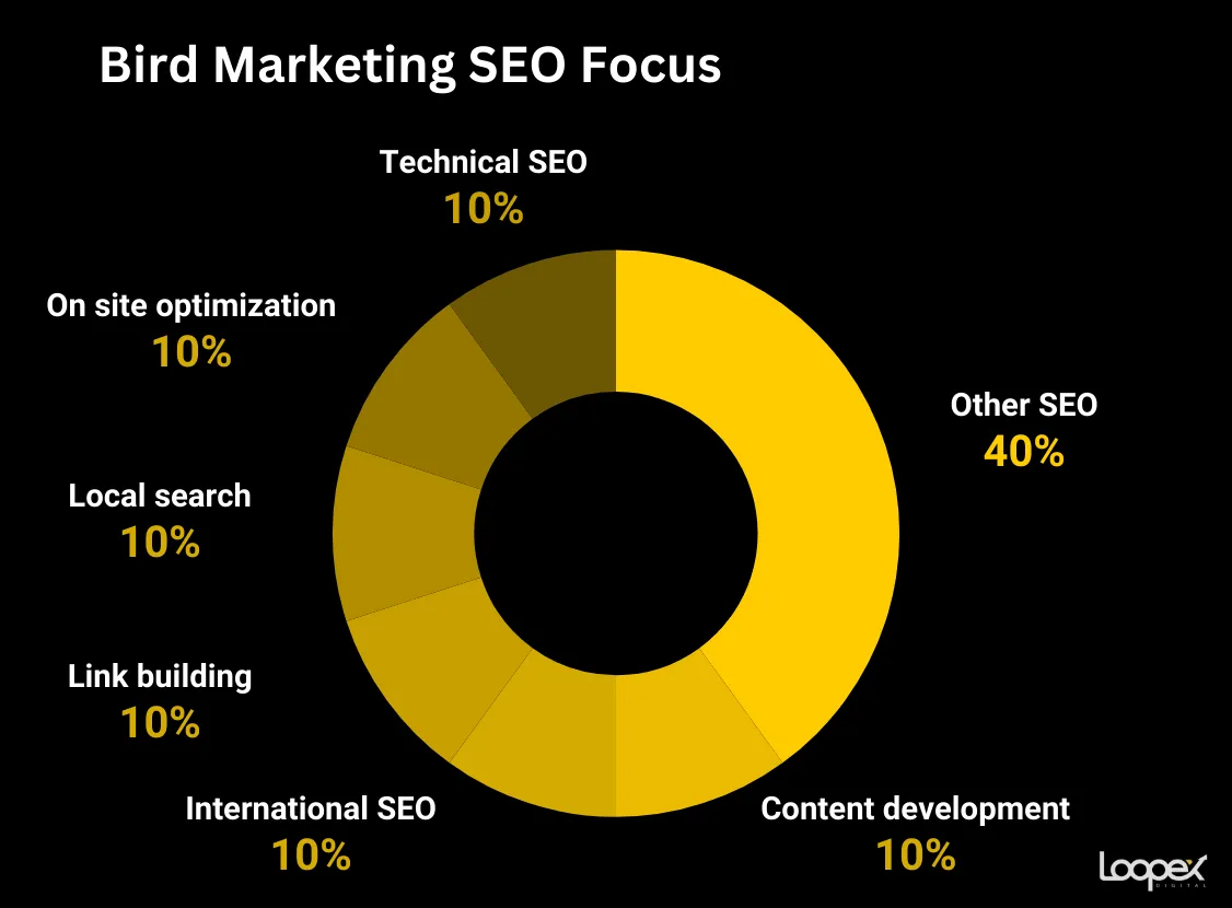best international seo company - bird marketing