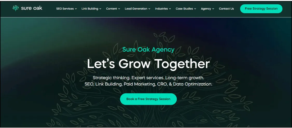 best seo companies for the usa market - sure oak