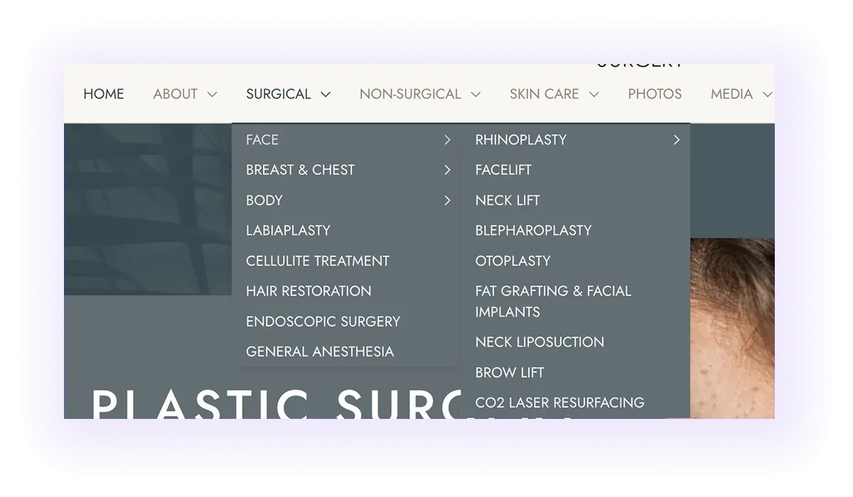 plastic surgeon website navigation bar with surgical or non-surgical services categories