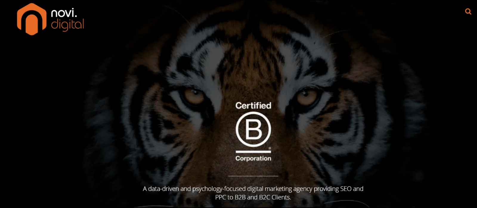 novi digital seo companies oxford