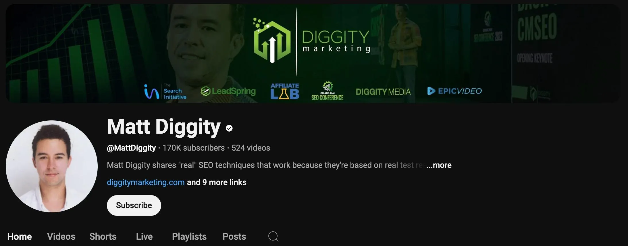 matt diggity best seo books
