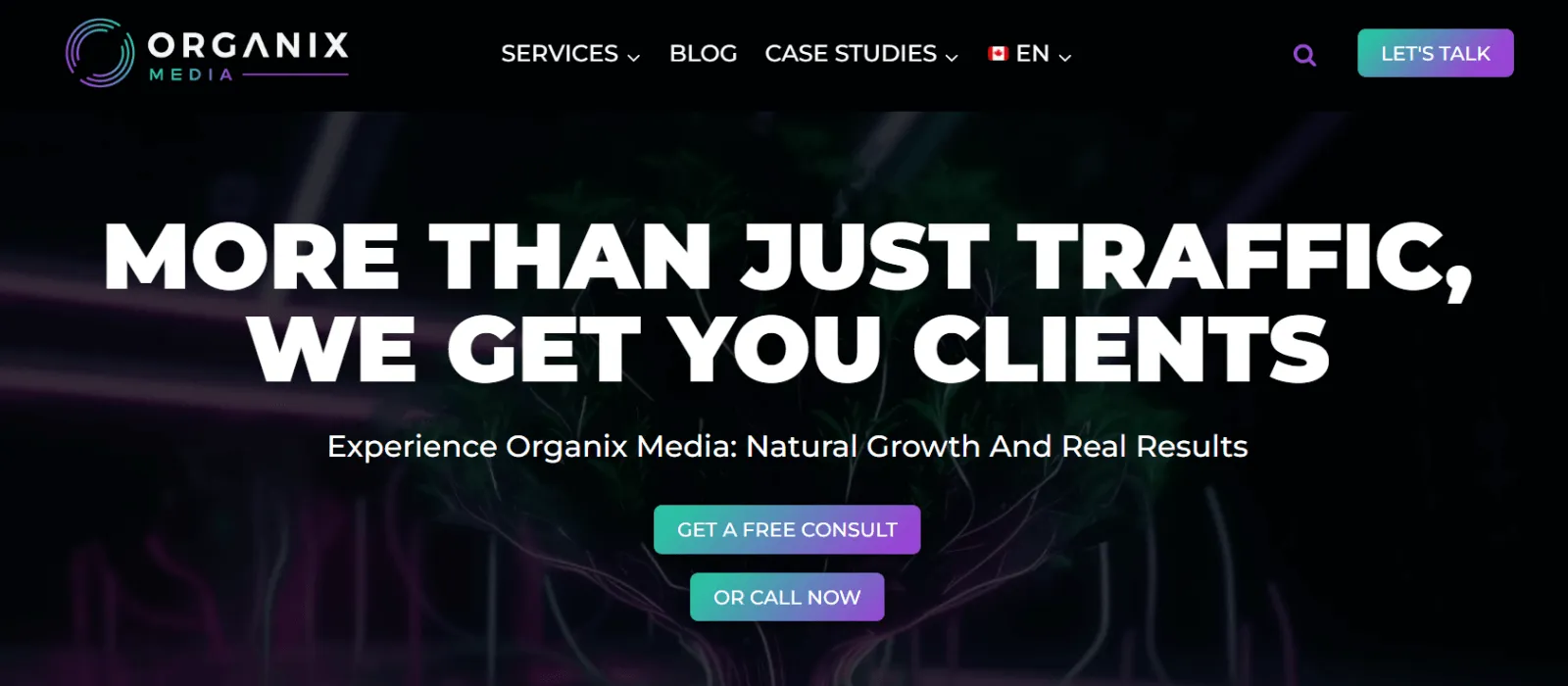 organix media seo companies in canada