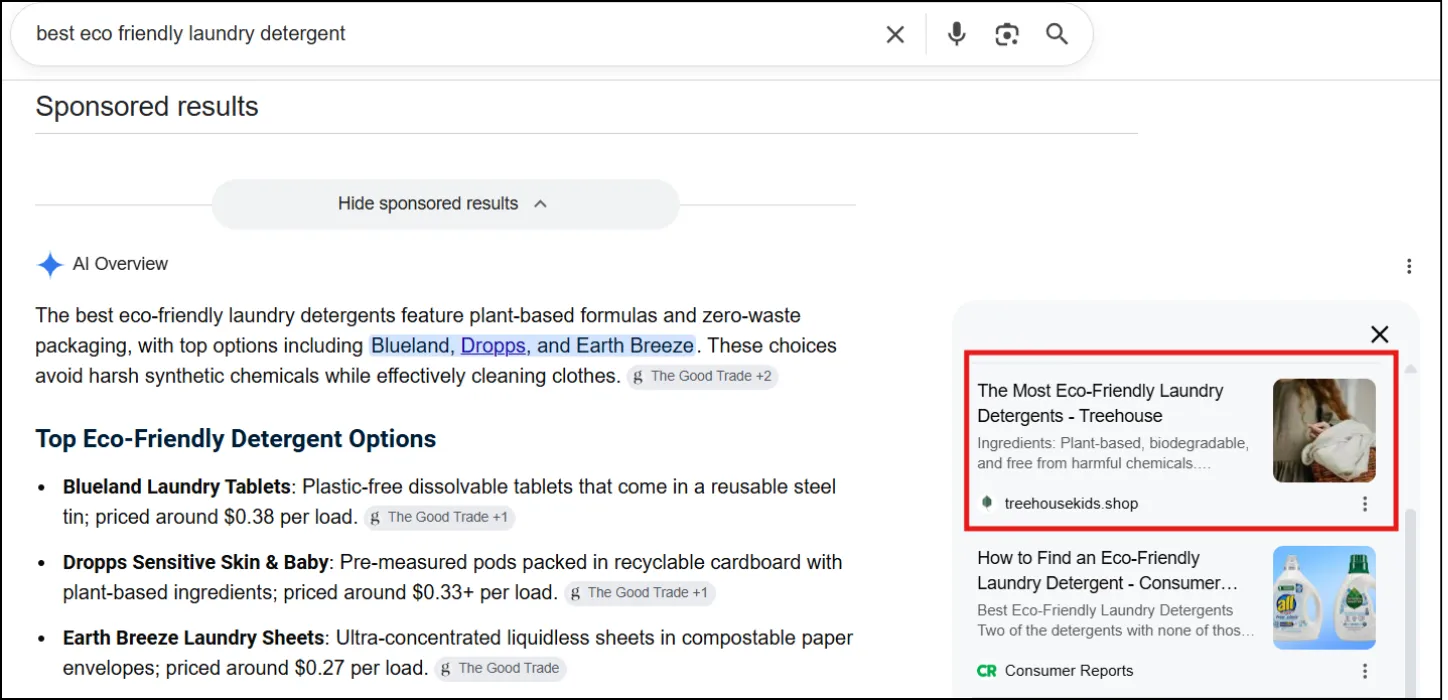 Tree House Kids -High Visibility Achieved in Google AI Overviews