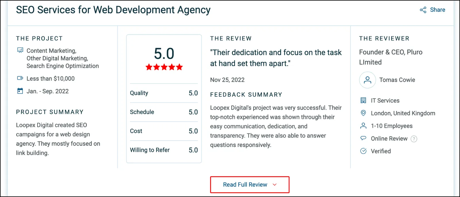 Loopex Digital client review