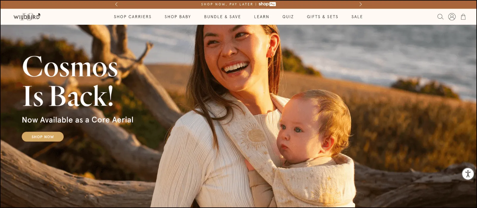 Wildbird Overview