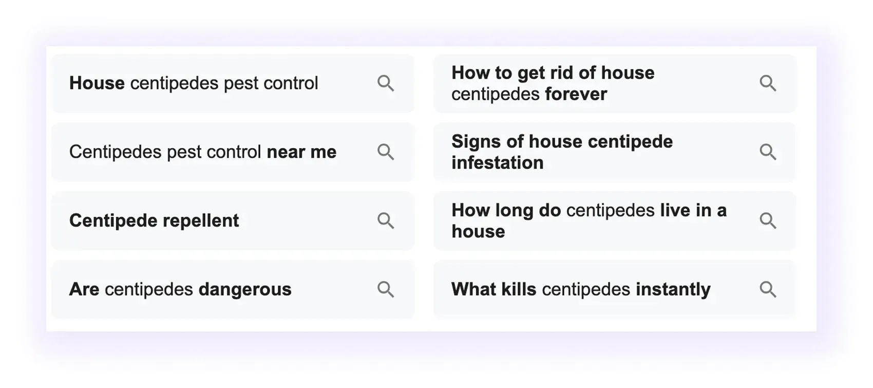 People Also Ask section for Pest Control SEO