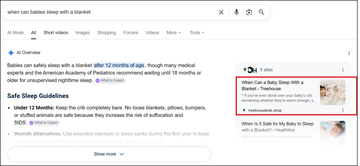 Tree House Kids -High Visibility Achieved in Google AI Overviews