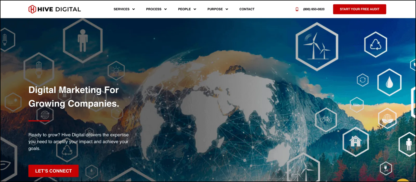 hive digital seo company in north carolina
