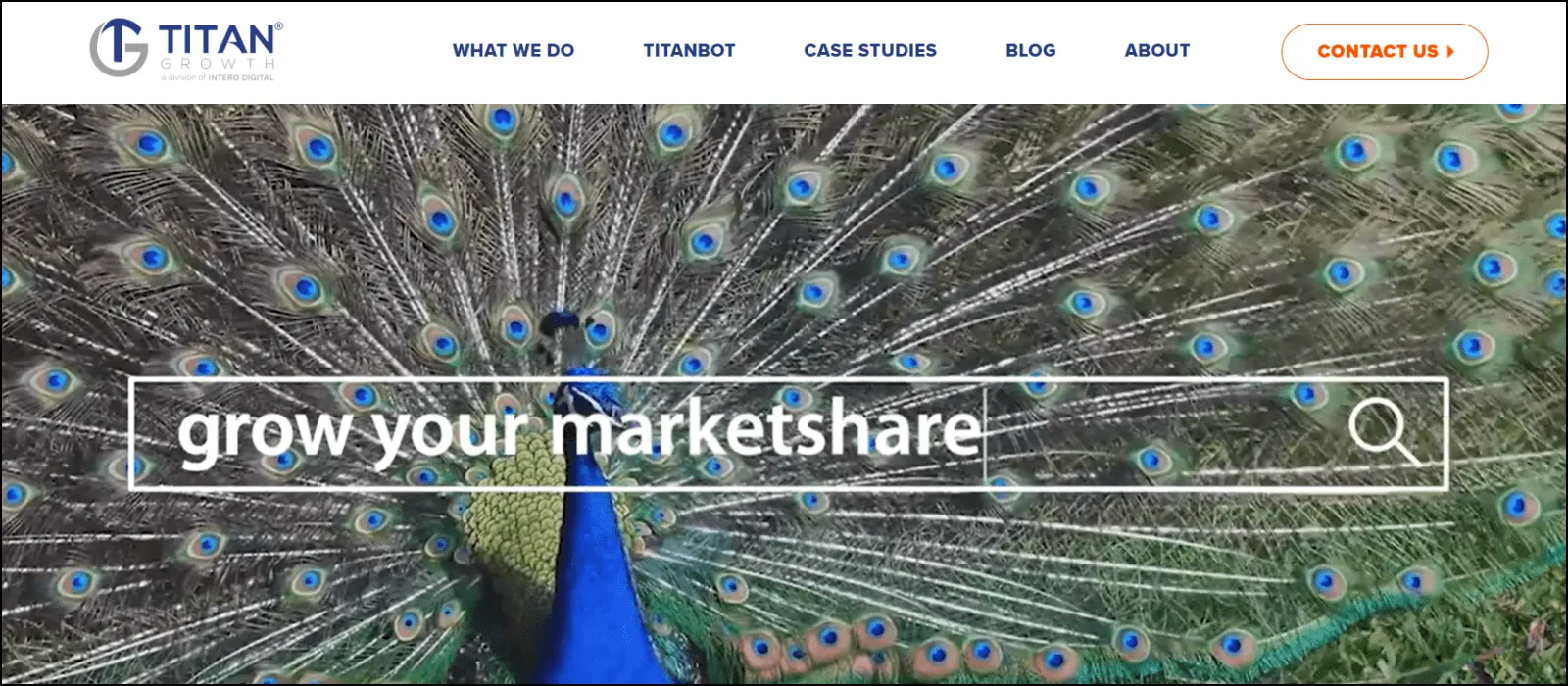 titan growth seo companies massachusetts