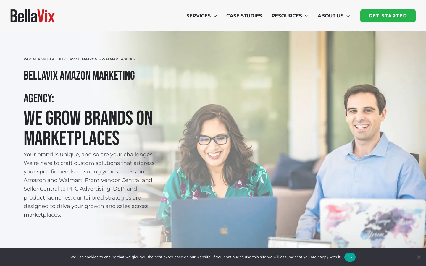 BellaVix homepage