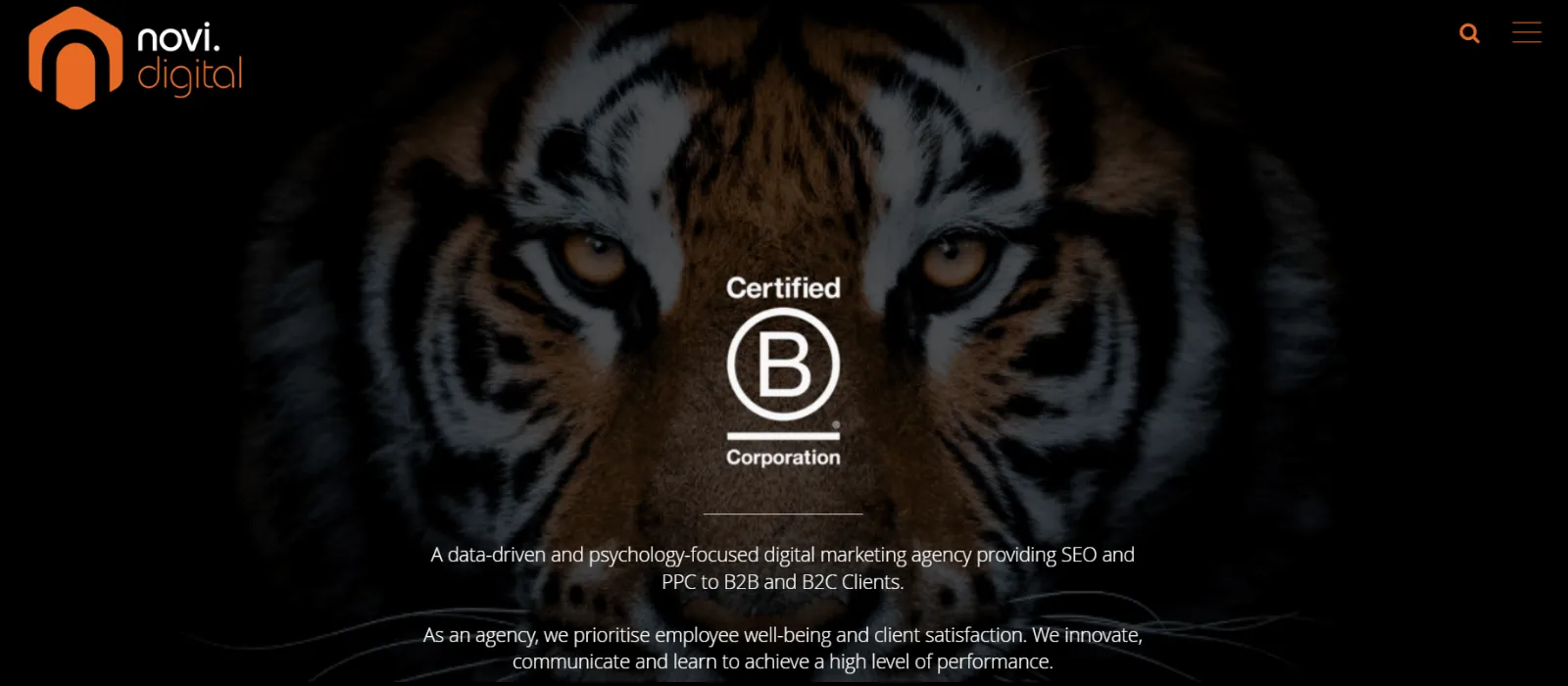 novie digital seo companies london