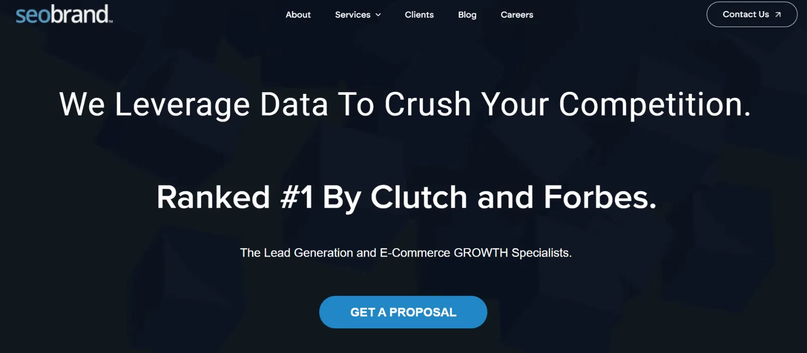 seobrand seo companies massachusetts