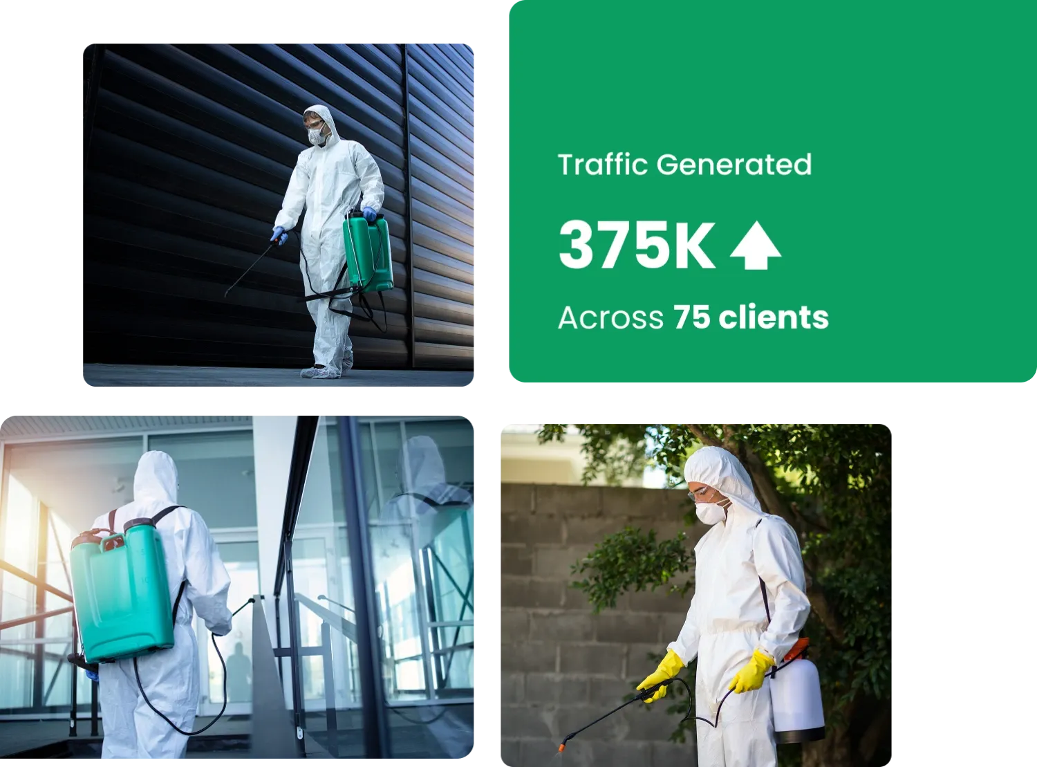 SEO for Pest Control Companies