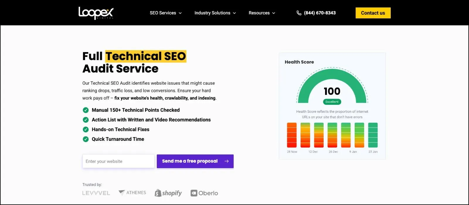 Loopex Digital Best Technical SEO agency