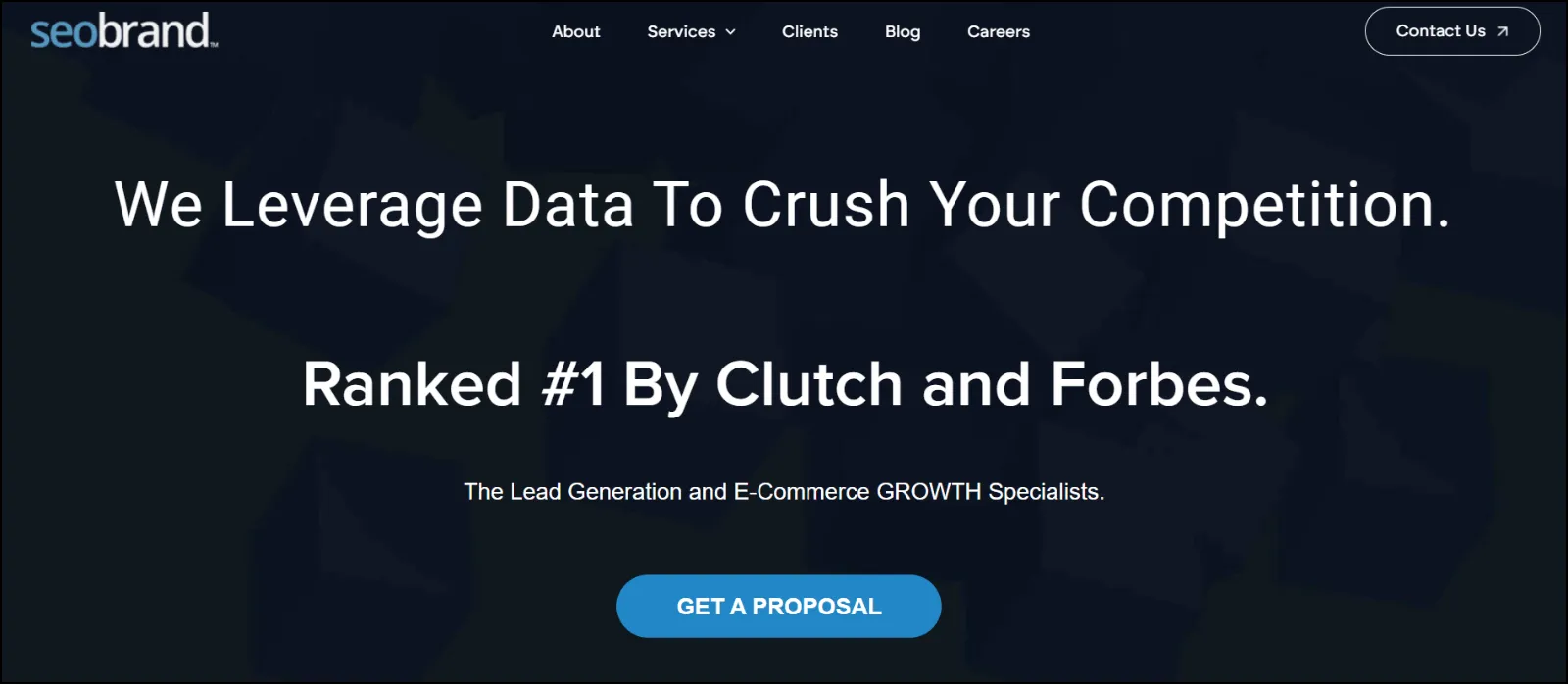 seo brand top seo companies in arizona