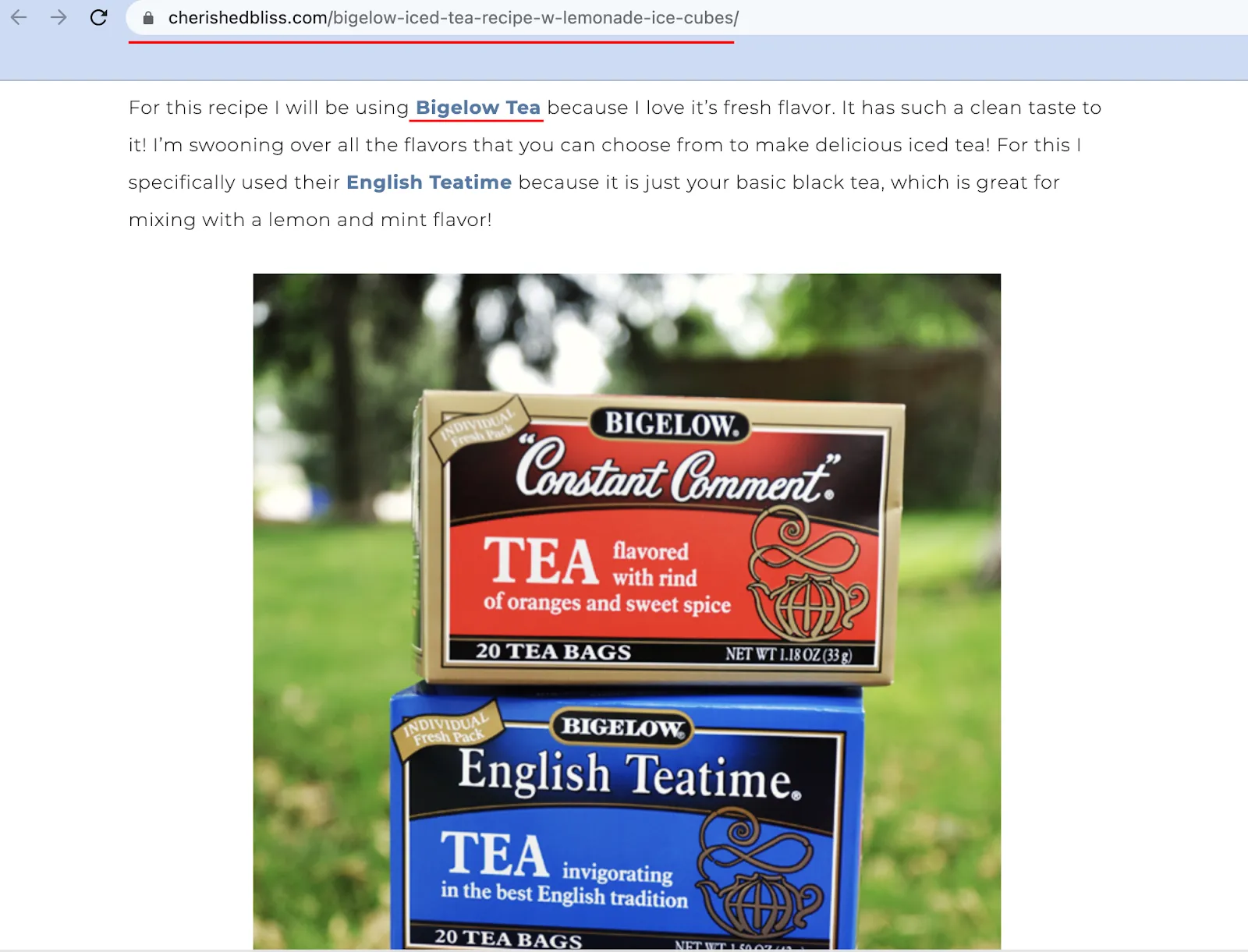 blogger outreach example